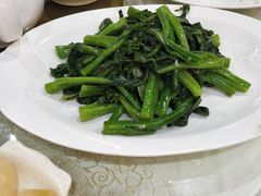 蒜蓉炒菜心-金苑海鲜酒家(新港中路店)