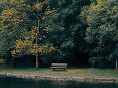 -上海共青森林公园