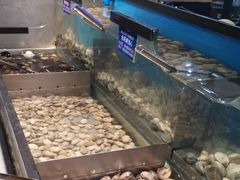 -遇上西雅图多融合海鲜自助餐厅(中房金谊广场店)