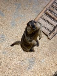 -酷嗒动物文化乐园(cutezoo西溪乐天城店)