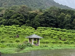 -广州市石门国家森林公园
