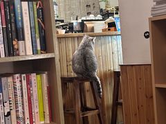 -隅cafe(傅厚岗店)