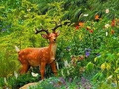 -上海共青森林公园