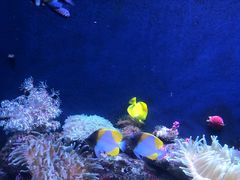 -成都浩海立方海洋公园