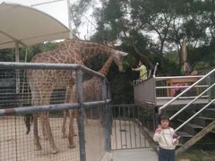 -泉州海丝野生动物世界