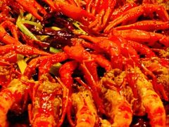 -红盔甲·小龙虾(天钥桥店)