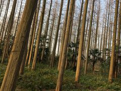-上海怡沁园度假酒店