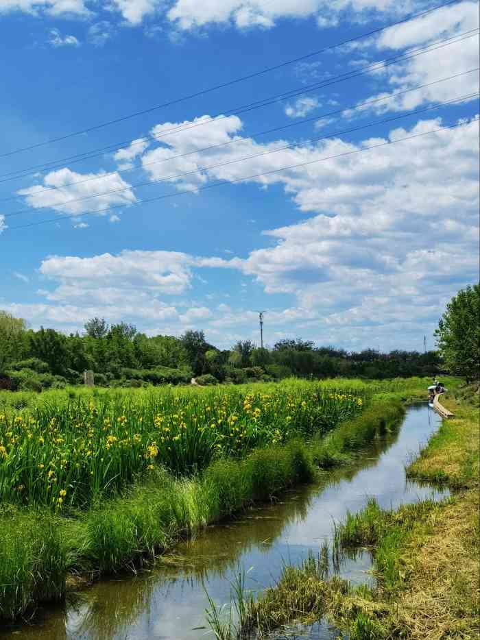 石榴庄公园-"周末找个离家近的公园遛遛娃,昨天去的天坛.