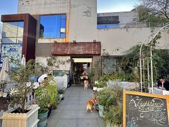 -船长9号·精致湖北菜(江滩店)