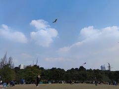 -成都南湖公园