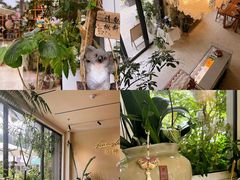 -花神·轻食简餐·咖啡馆·花卉绿植(荷兰花卉小镇店)