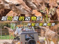 -郑州银基国际旅游度假区