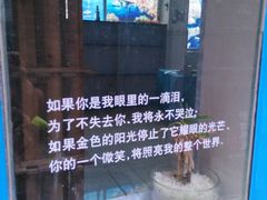 -小洲村