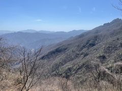 -牛背梁国家森林公园