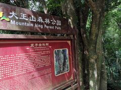 -清溪大王山森林公园