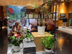 -黔蘑菇四季餐厅(观山湖店)