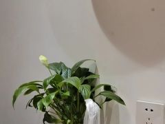 -蘇河湾·新鲁菜·泰山宴老店