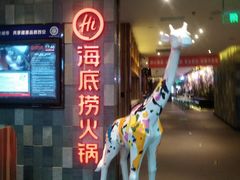-海底捞火锅(金花路店)