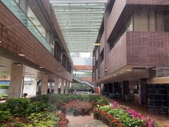 -香港大学