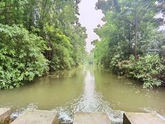 -桤木河湿地公园