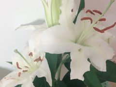 -煲宫(华润万象城店)