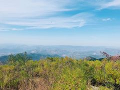 -鲁山国家森林公园