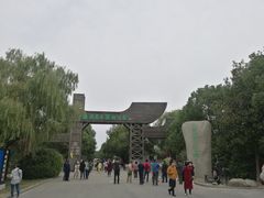 -溱湖国家湿地公园