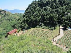 -云峰山自然风景区