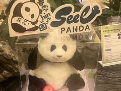 -成都保利公园皇冠假日酒店(熊猫基地店)