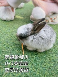 -萌宠亲子动物乐园(槐房万达店)