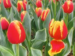 -玄武湖景区-情侣园游乐场