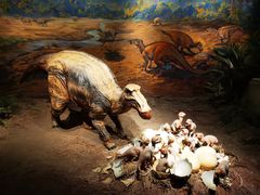 -自贡恐龙博物馆