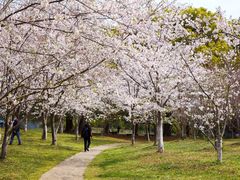 -共青国家森林公园-售票处