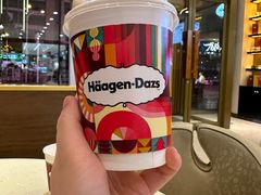 -哈根达斯(石家庄北国店)