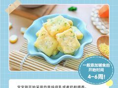 -小蝌蚪·寻·月嫂(普陀总部)