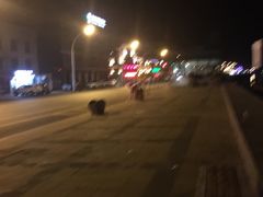 -沈家门渔港