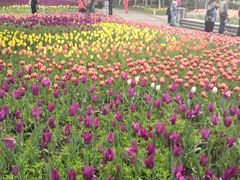 -长春公园(普阳街道)