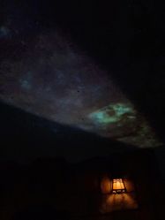 -翱翔飞越地平线