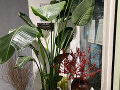 -艾蜜西餐厅(梅园店)