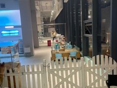 -怪兽屋·羊驼·猫咖·狗咖(俊华广场店)