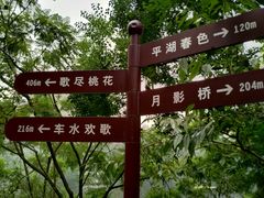 -重庆彩云湖湿地公园