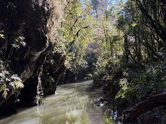 -怀托摩萤火虫洞