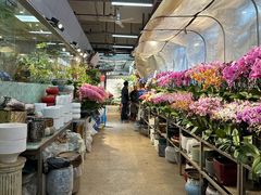 -双季花艺园艺市场(浦东店)