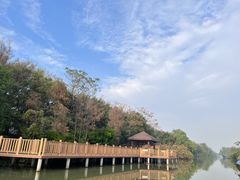 -大湾区中央湿地公园