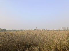 -水西公园