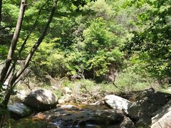 -麻城大别山桐枧冲瀑布群风景区