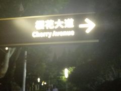 -大宁灵石公园西门票处