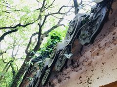 -普陀山风景名胜区-法雨禅寺