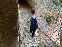 -杭州开元森泊度假乐园