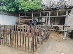 -清风小镇闯关东影视基地